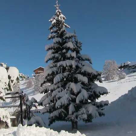 Val Dazur 2 Pieces *